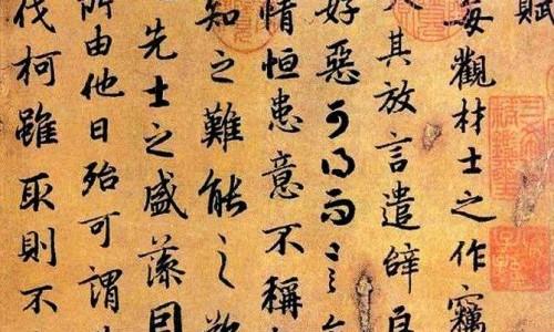 什么食物可以长高-多吃哪些食物可以长高网 - 吃哪些可以长高身体,多吃哪些食物可以长高个子